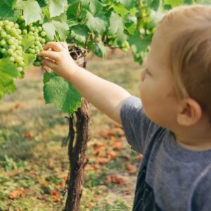 healthy children, healthy diet