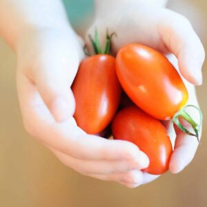 kids eating healthy food
