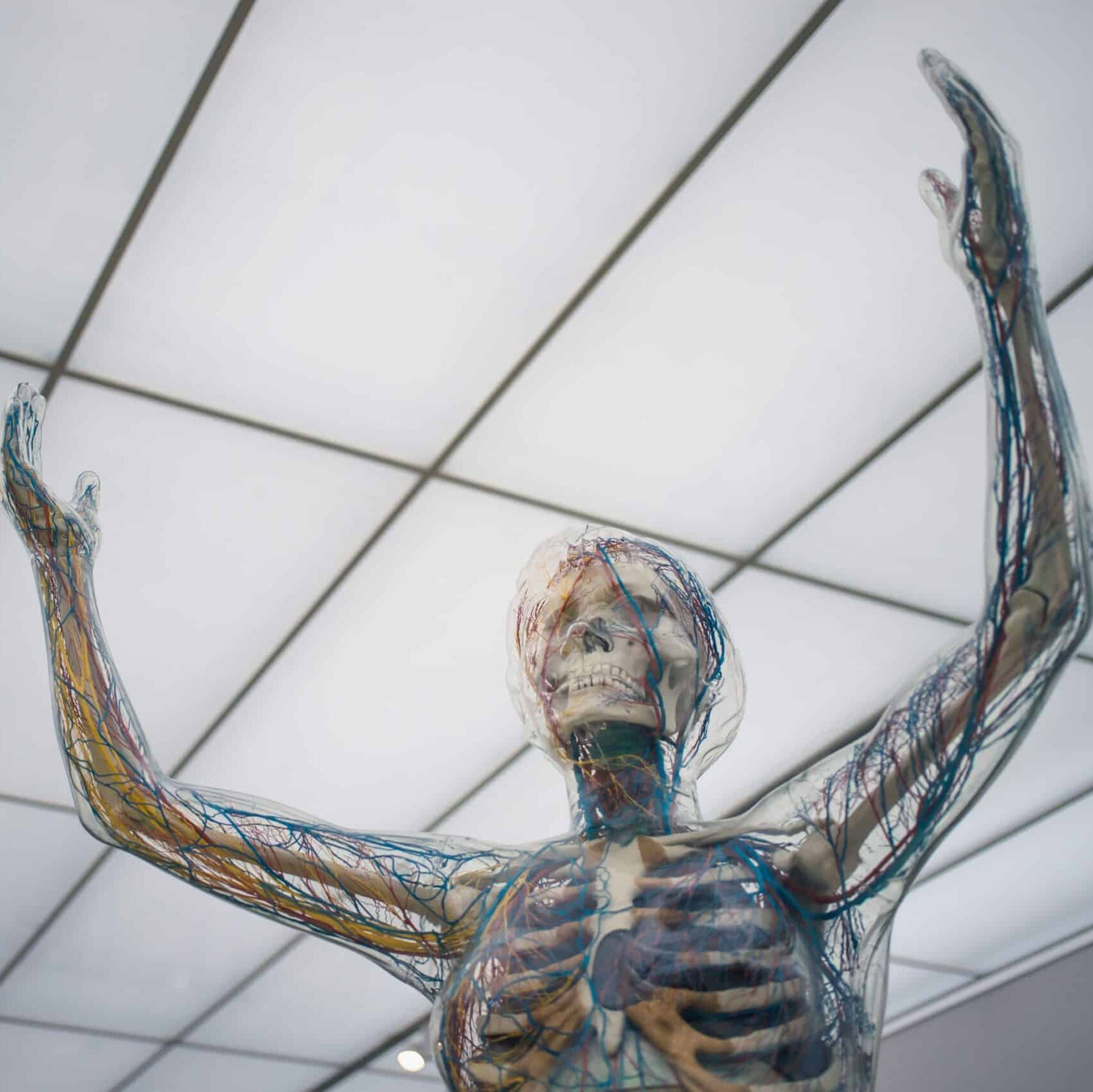 strengthening vagus nerve heals